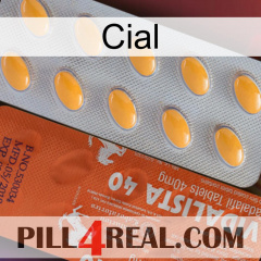 Cial 43